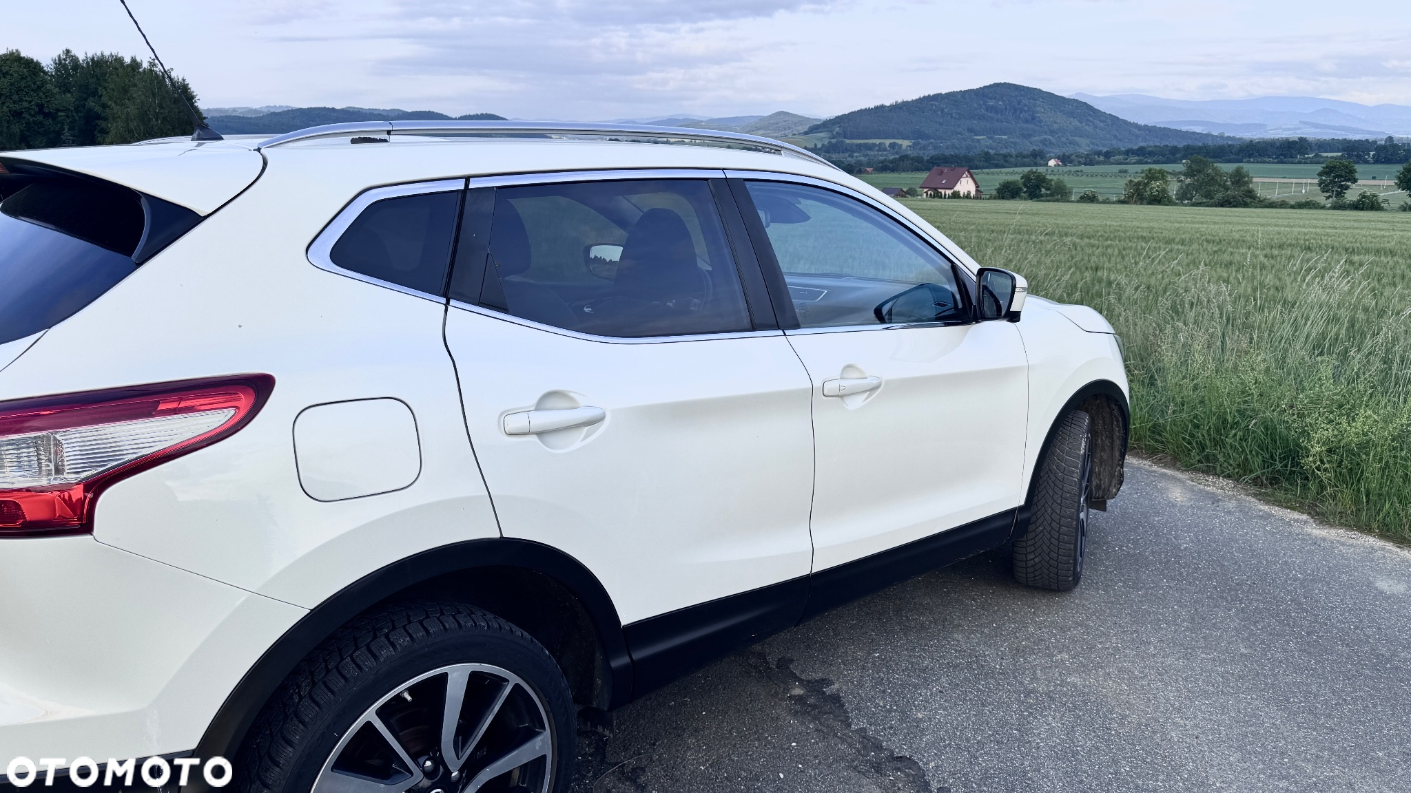 Nissan Qashqai 1.6 dCi 4x4 360 S&S - 17