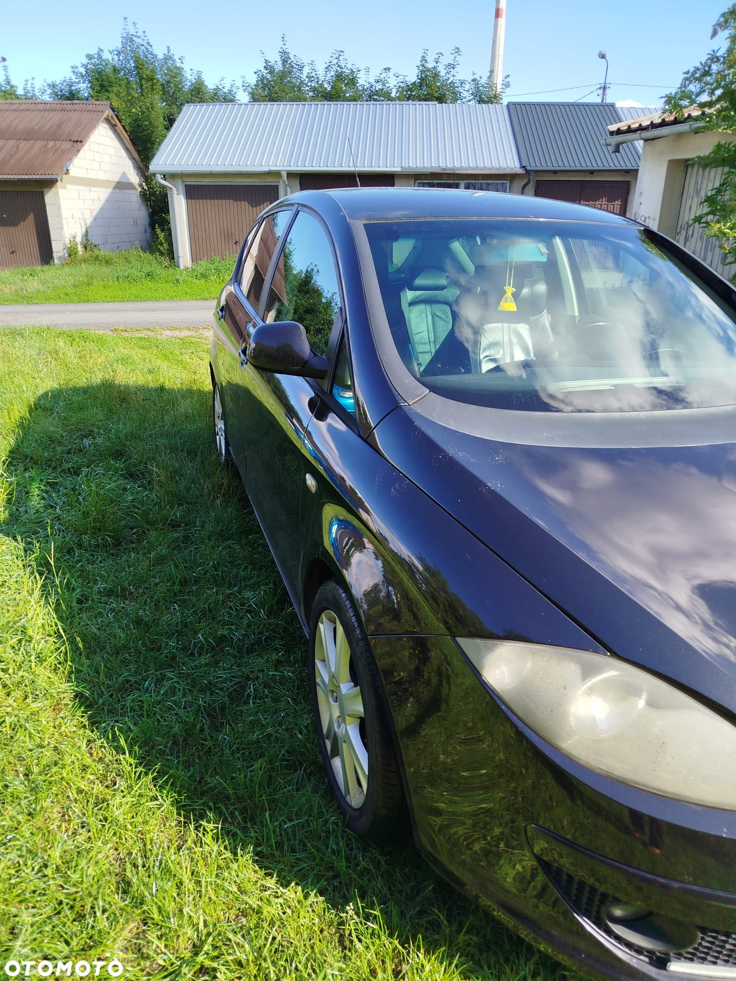 Seat Altea - 3