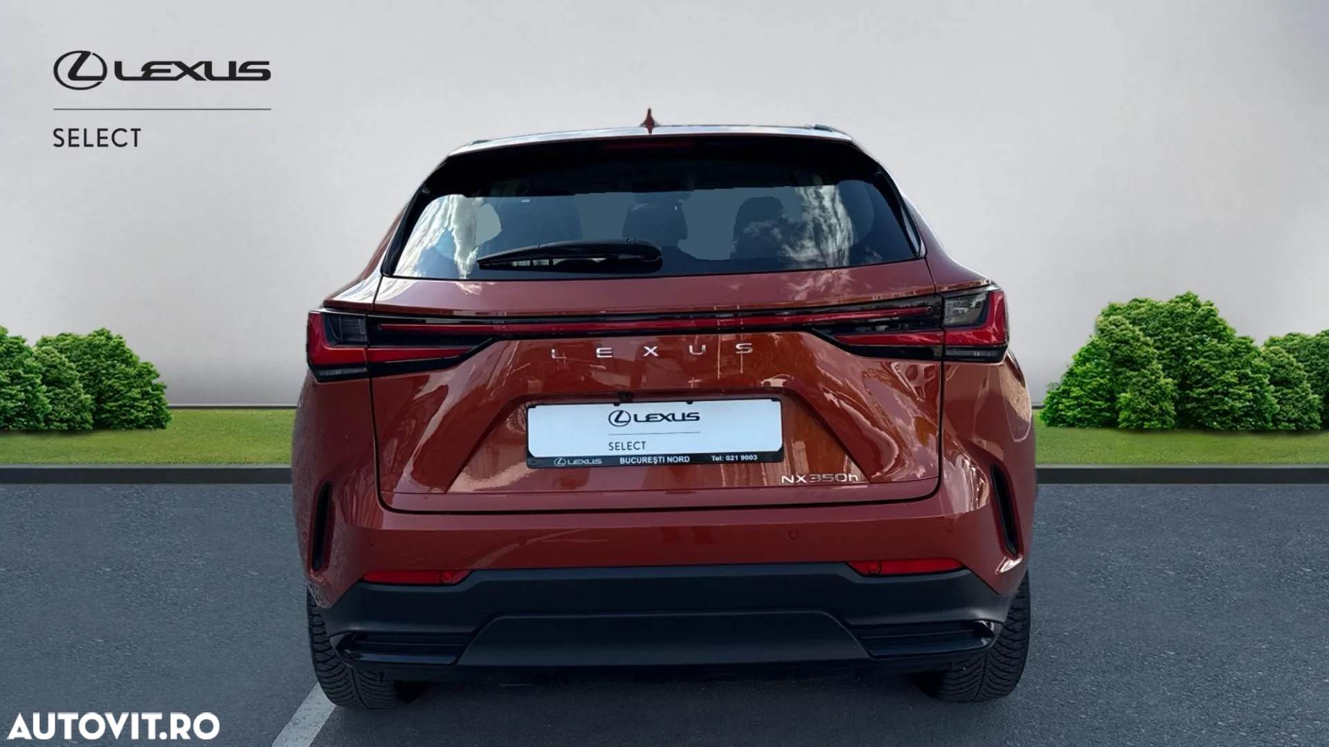 Lexus Seria NX 350h AWD CVT HEV Business - 2