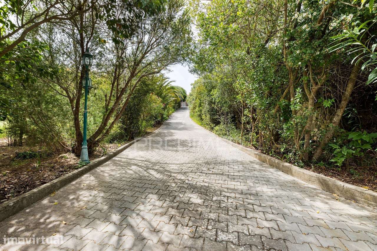 Quinta de Prestígio com 1,24 Hectares | Vista Deslumbrante sobre o... - Grande imagem: 2/31