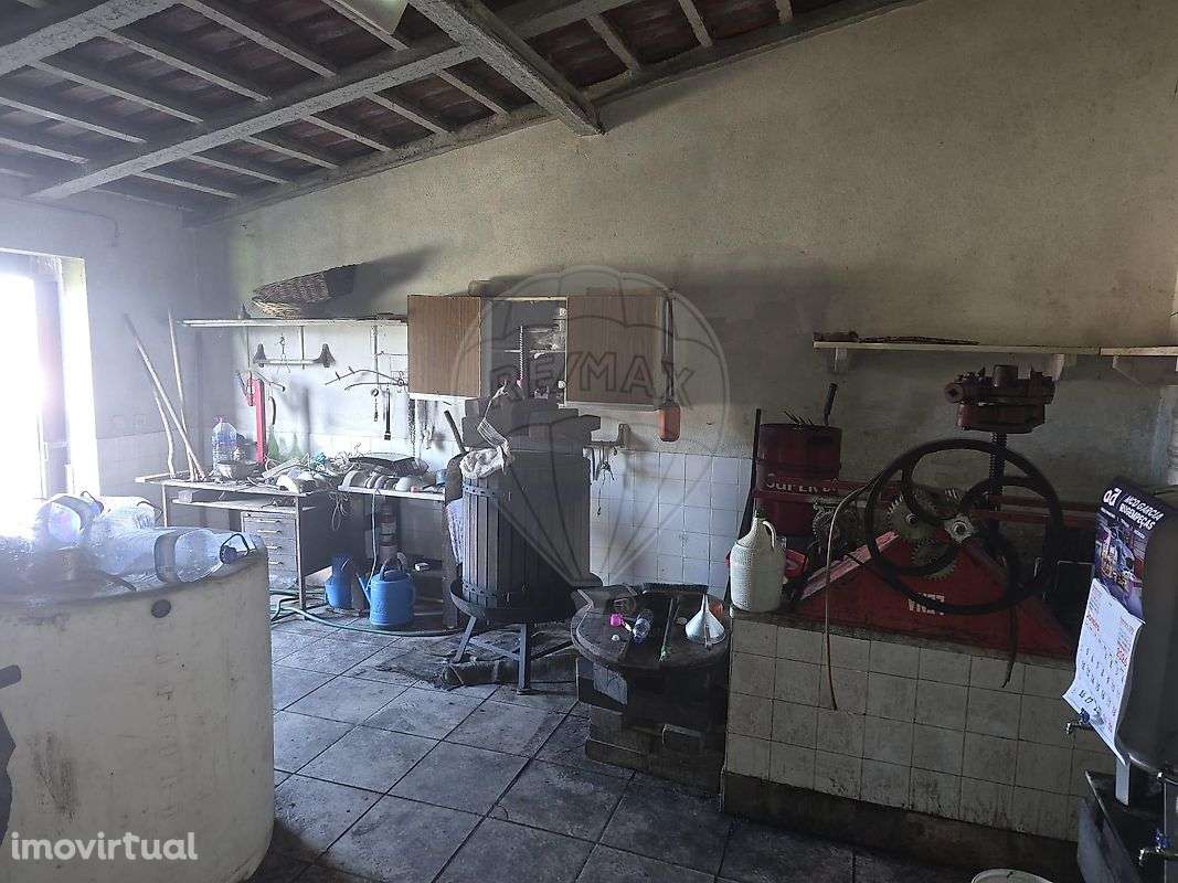 Armazém  para arrendamento - Grande imagem: 3/9