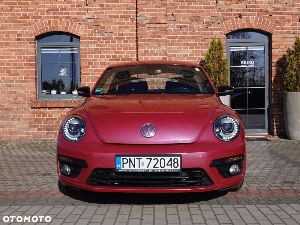 Volkswagen Beetle - 7
