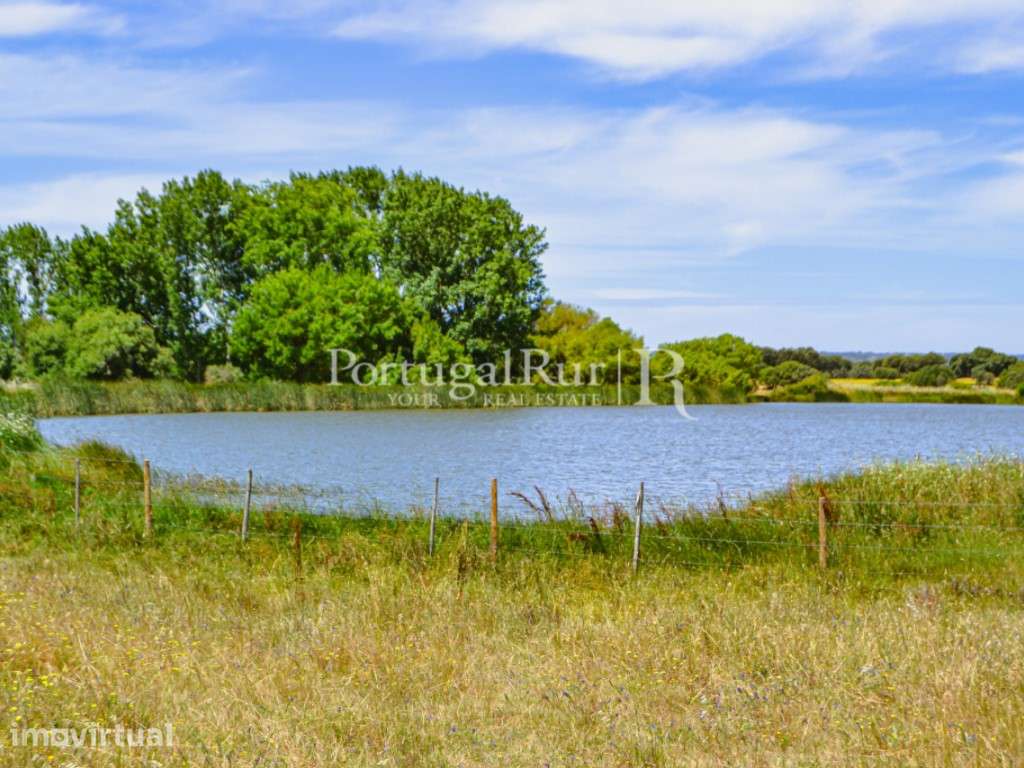 Propriedade de 155 ha com barragem privada - Grande imagem: 2/38