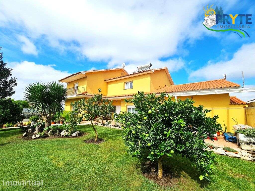 Quinta com cerca de 5 ha situada às portas de Pombal junto ao IC8 - Grande imagem: 4/54
