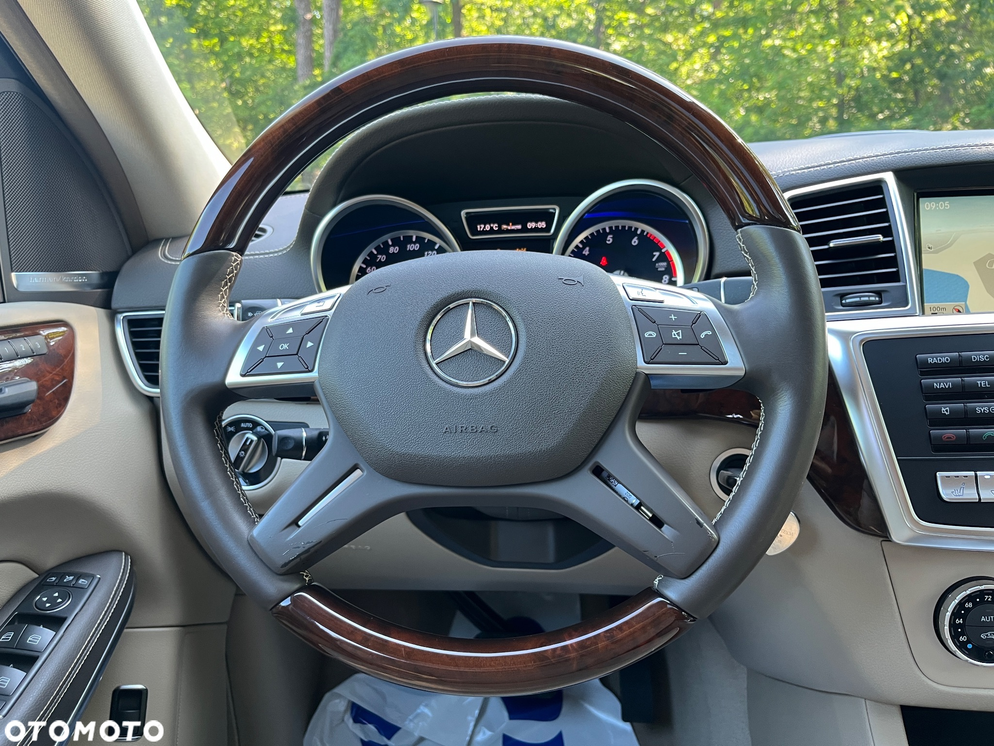 Mercedes-Benz GL - 21