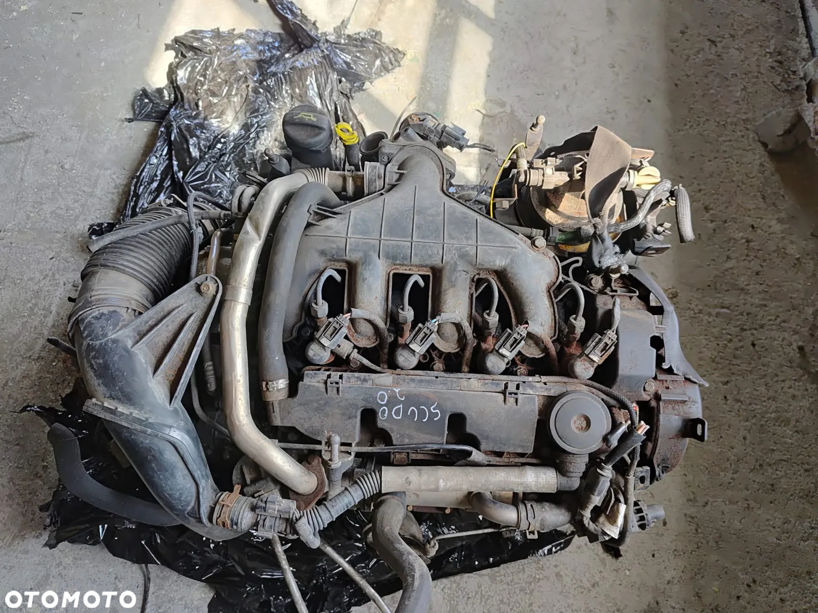 silnik FIAT SCUDO 2.0 - 3