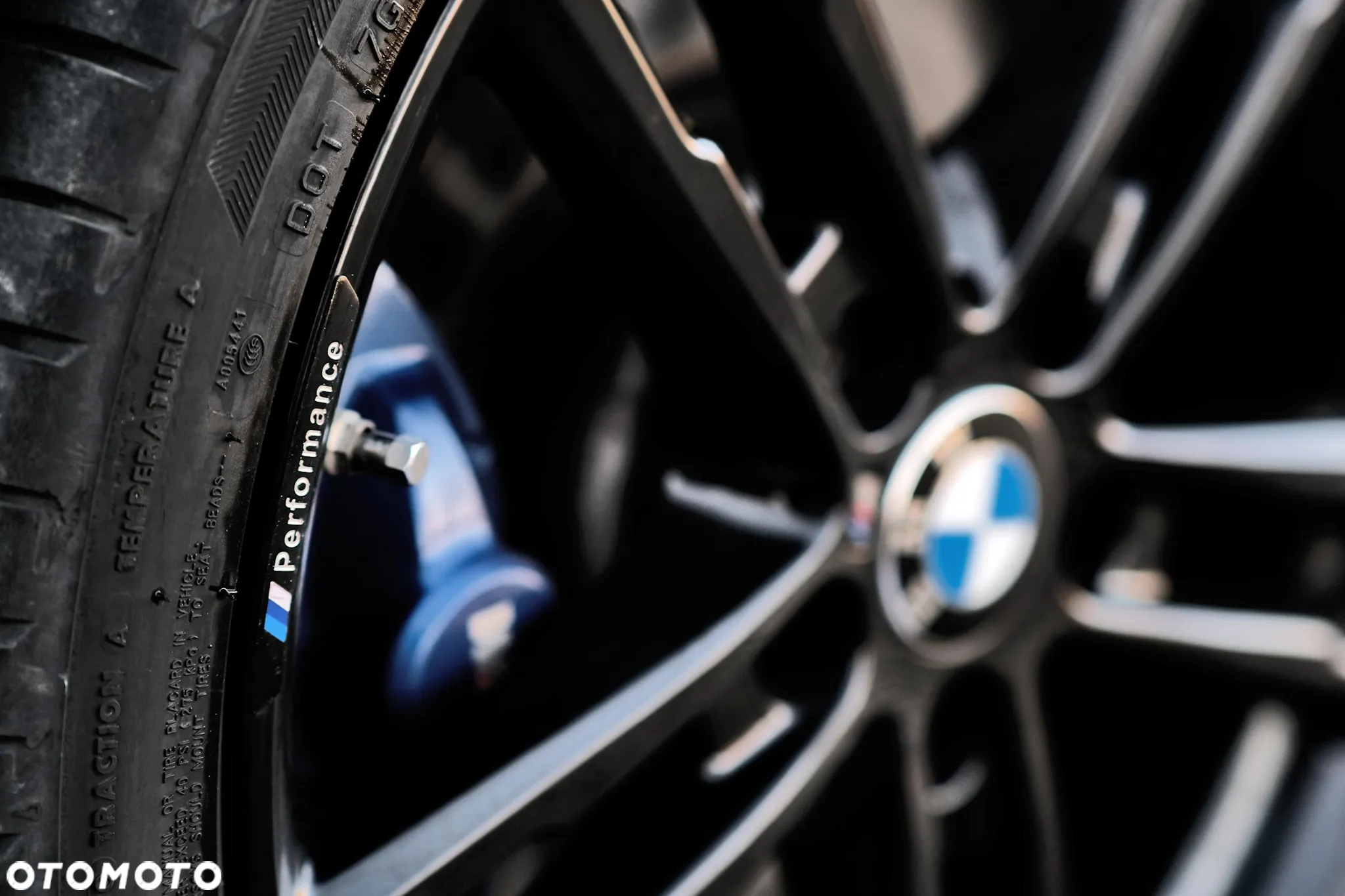 BMW 1M - 12