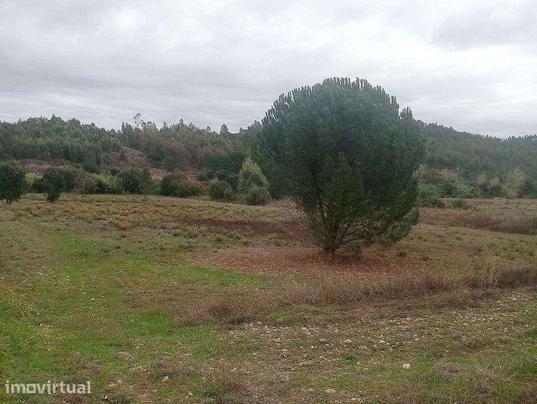 Terreno  para venda - Grande imagem: 2/12