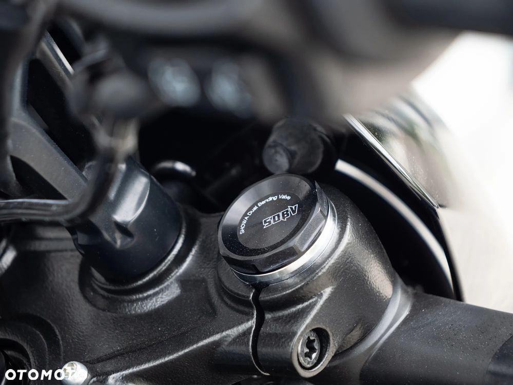 Harley-Davidson Sportster Nightster 975 - 17