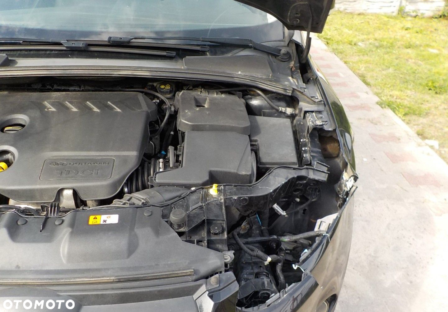 Ford Focus - 4