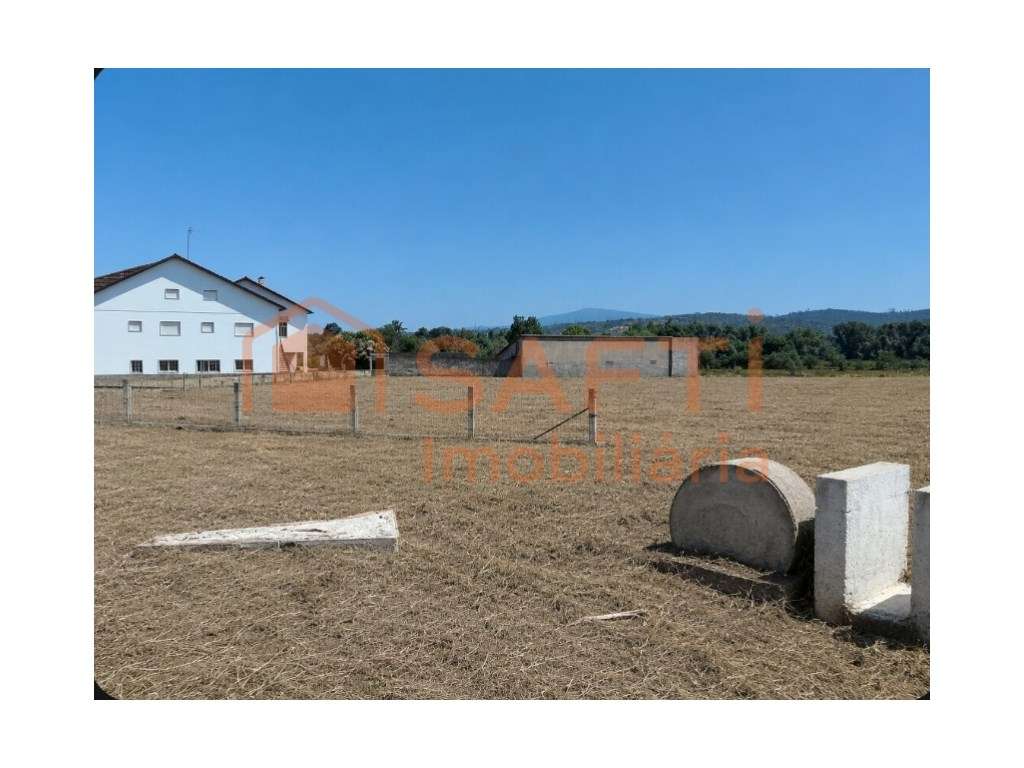 TERRENO URBANIZÁVEL COM POÇO DE REGA. - Grande imagem: 4/6