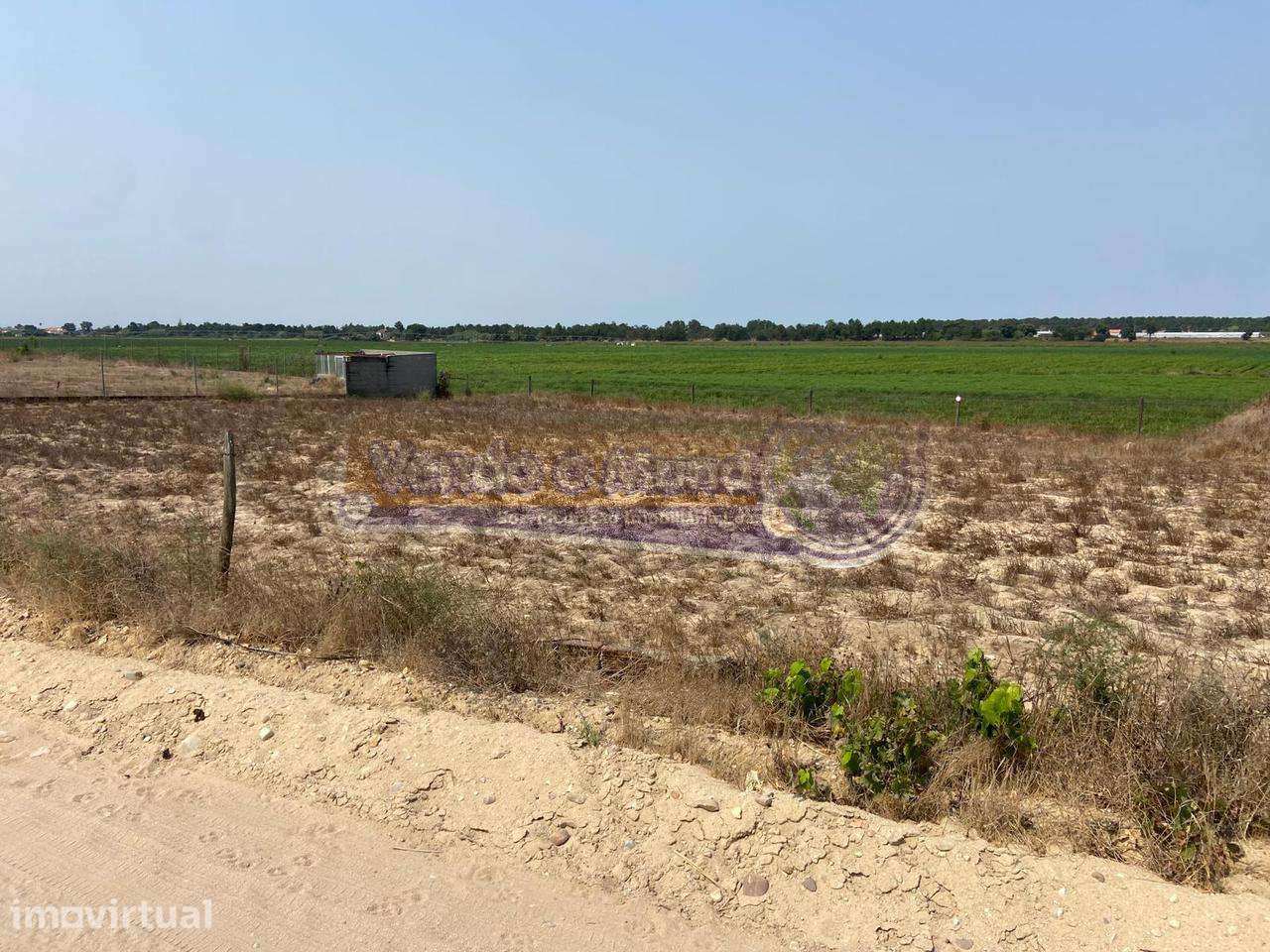 Terreno em Foros de Salvaterra (F844) - Grande imagem: 4/6