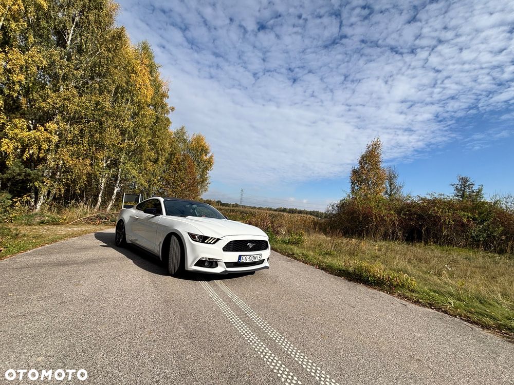 Ford Mustang 2016 photo 3