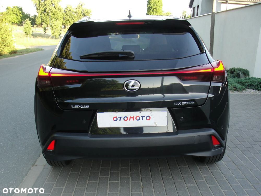 Lexus UX 300h Omotenashi - 21
