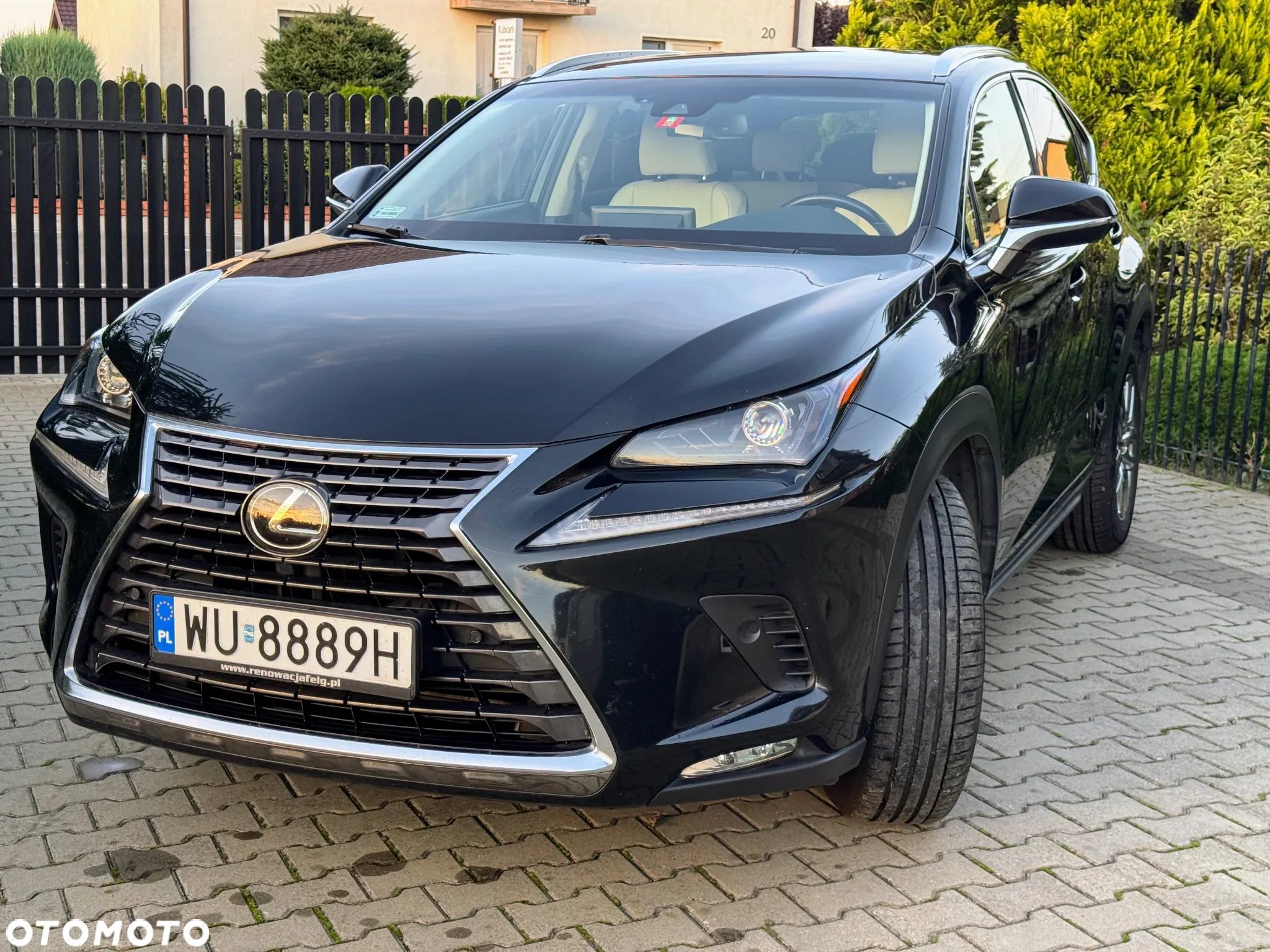 Lexus NX - 1