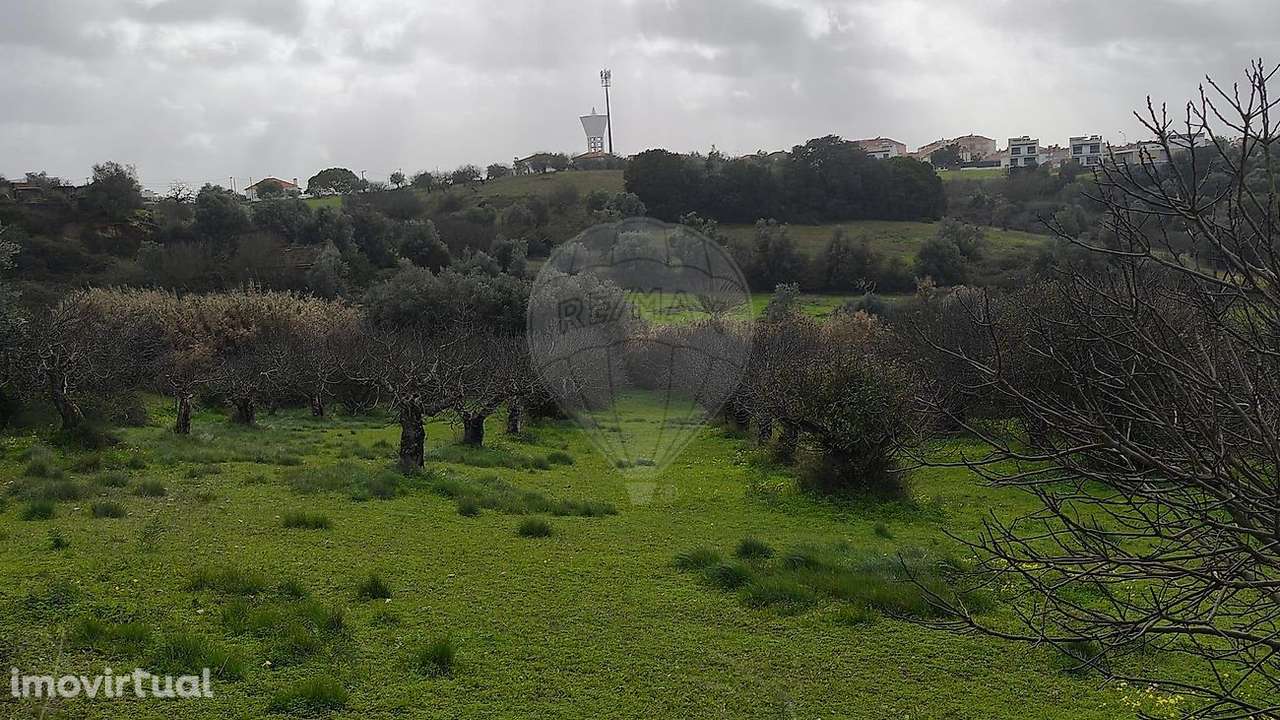 Terreno  para venda - Grande imagem: 3/15