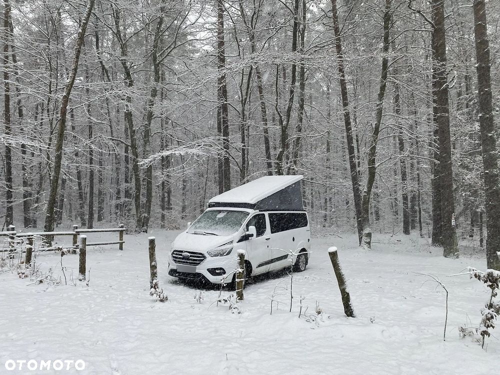 Ford Transit Custom 320 L1H1 Trend (bryg.) - 37