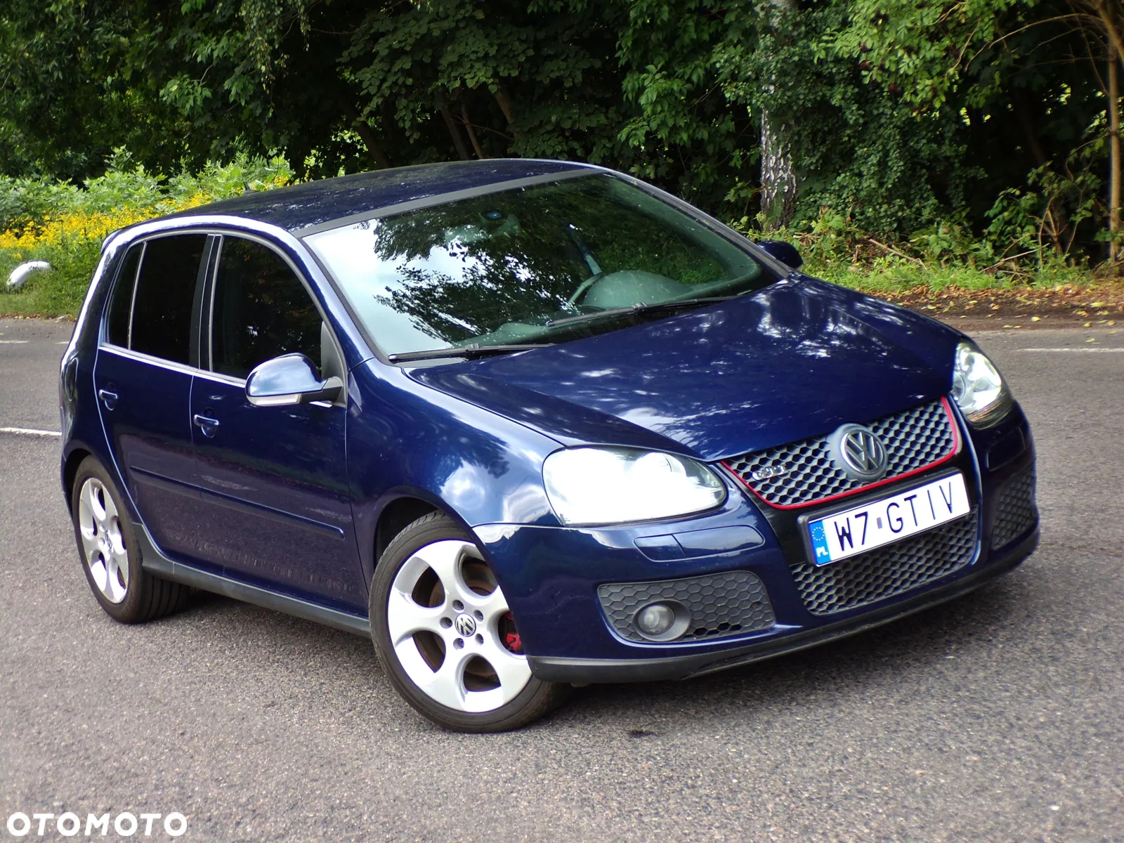 Volkswagen Golf 2.0 GTI - 13