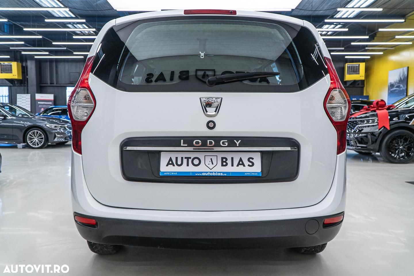 Dacia Lodgy - 26