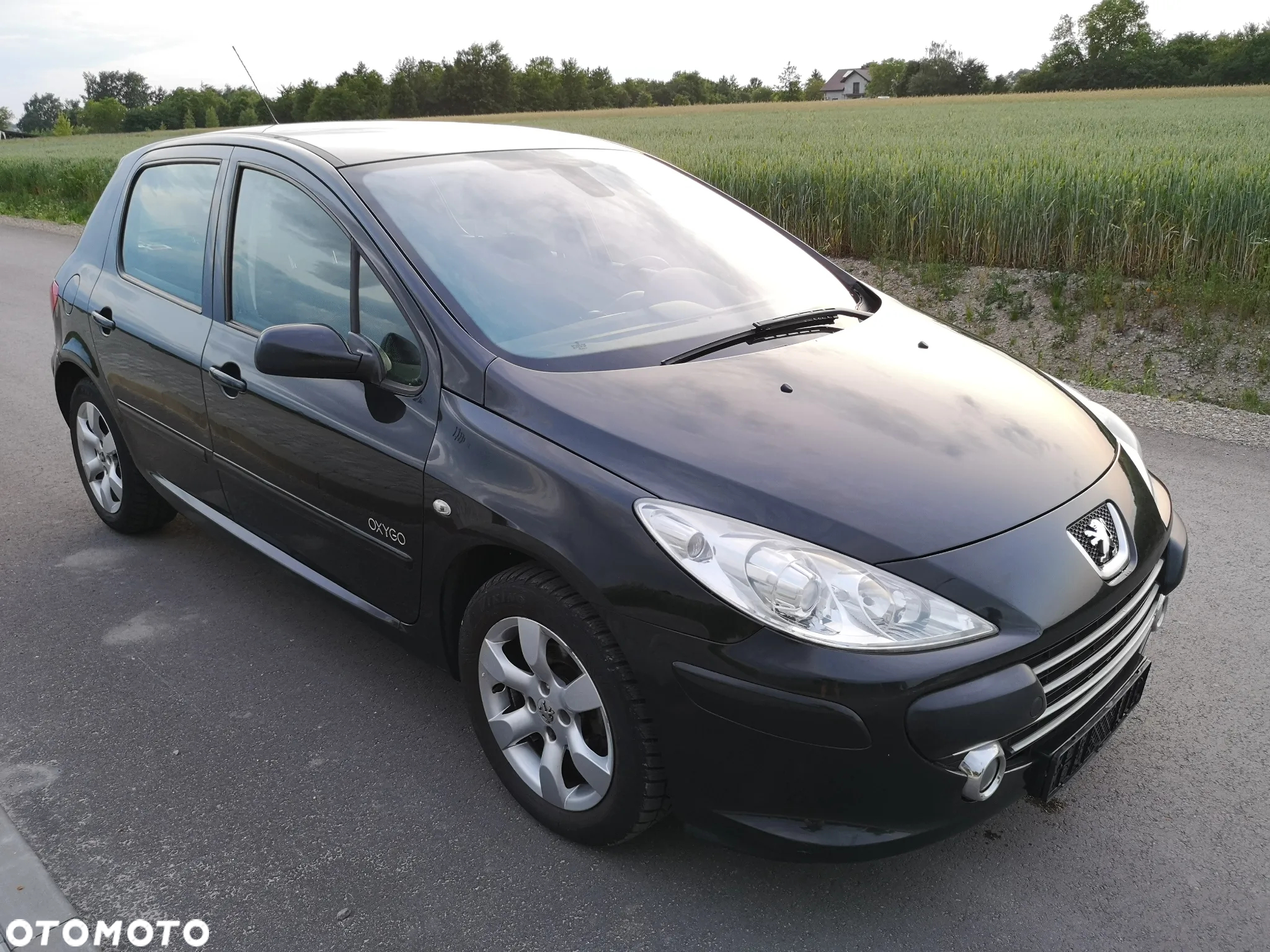 Peugeot 307 110 OXYGO - 16