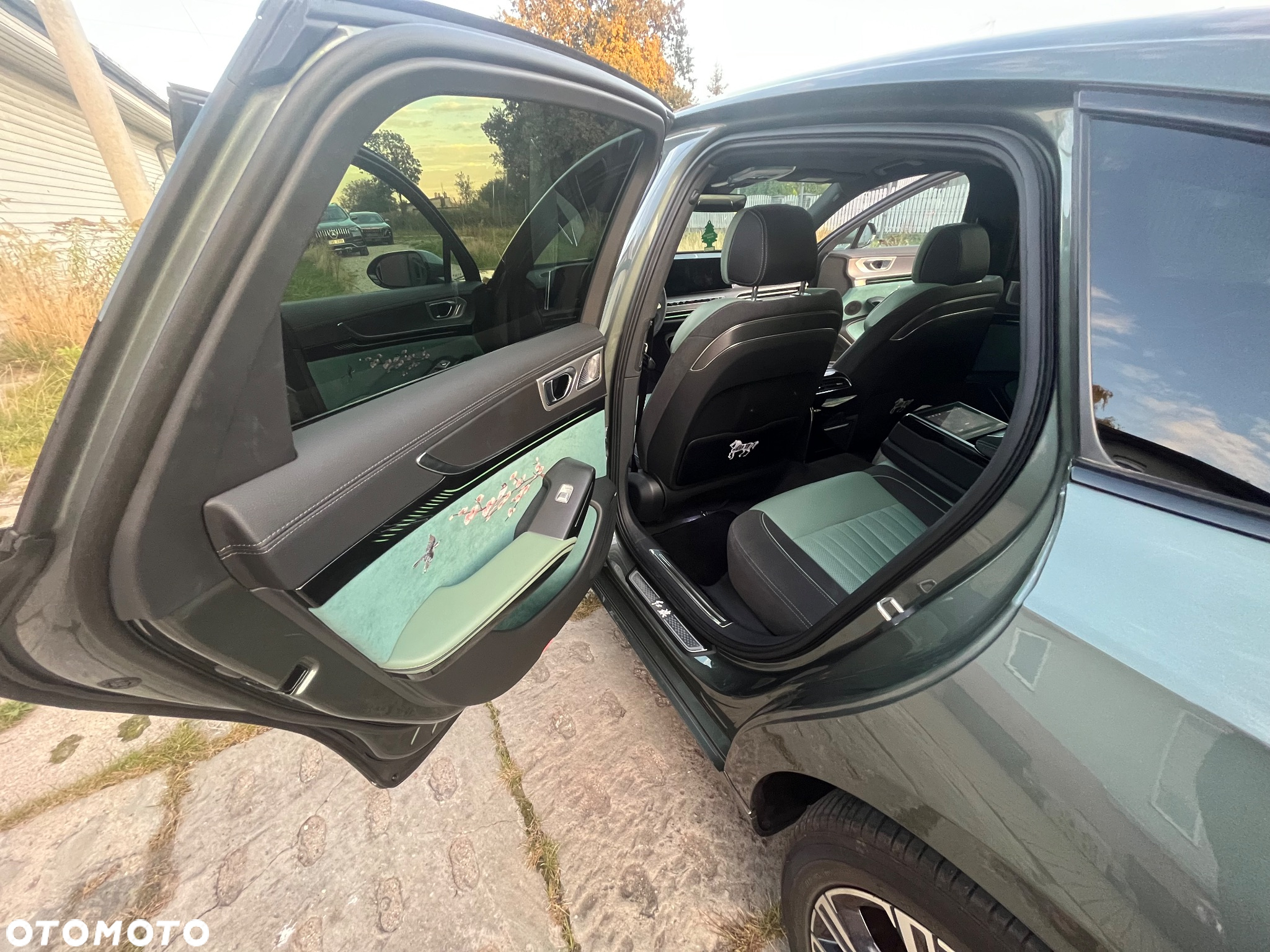 Hongqi H9 2.0T Deluxe - 5