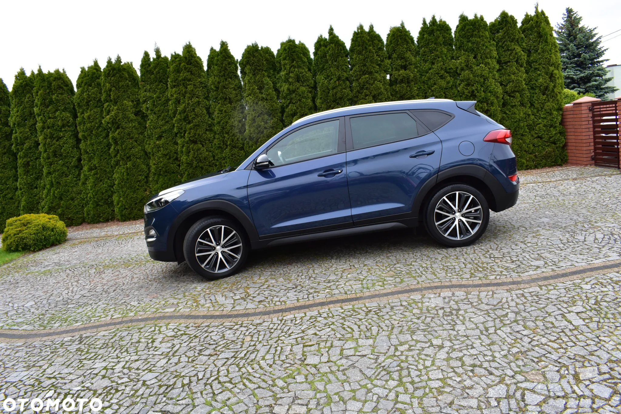 Hyundai Tucson blue 1.6 GDi 2WD Intro Edition - 5