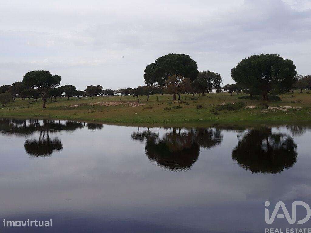 Terreno para construção T8 em Poceirão e Marateca de 1903,00 m2 - Grande imagem: 3/30