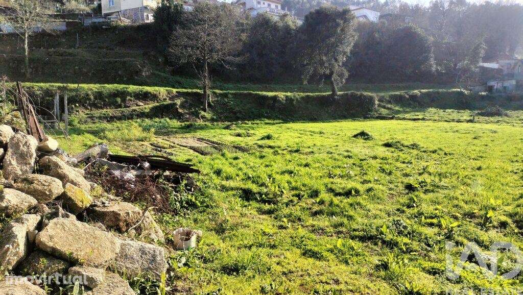 Terreno Agrícola em Fonte Arcada - Grande imagem: 5/40