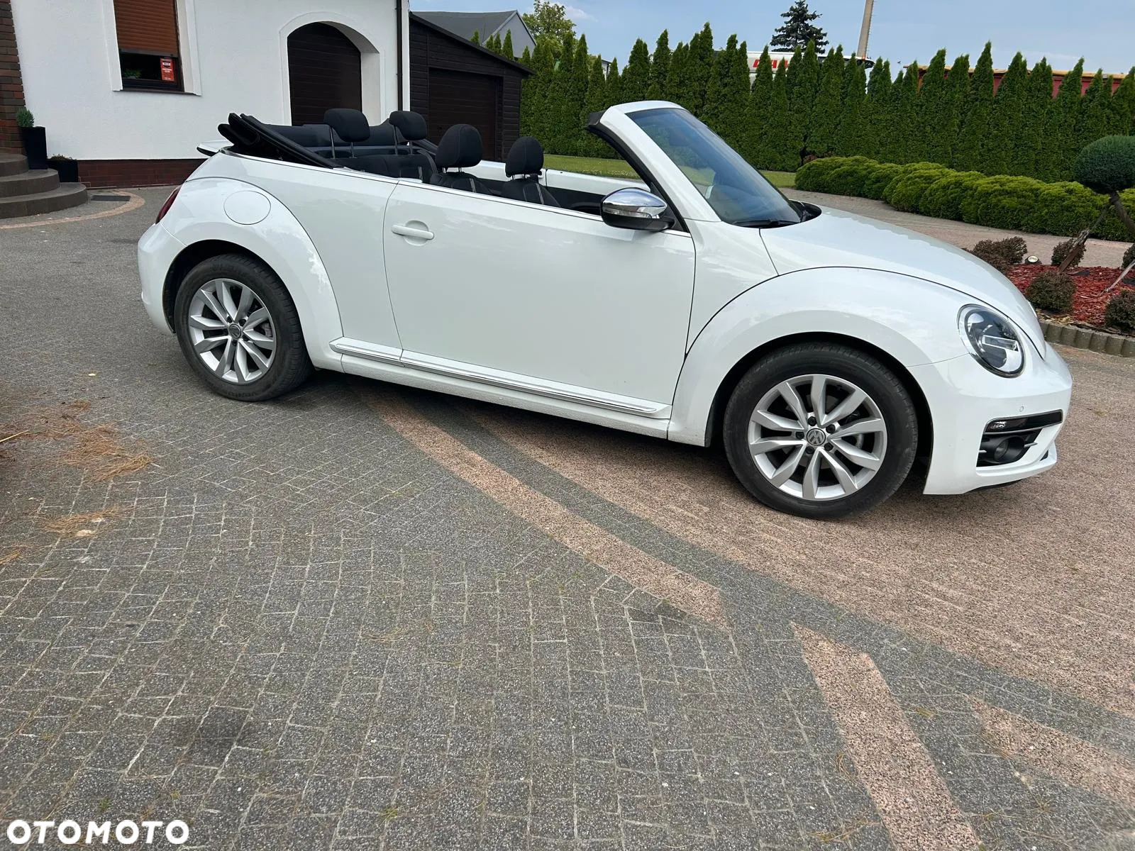 Volkswagen Beetle - 4