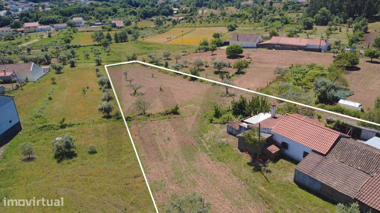 Moradia T3 para Renovar com 3.300 m2 de Terreno no Centro de Enxame - Grande imagem: 2/44