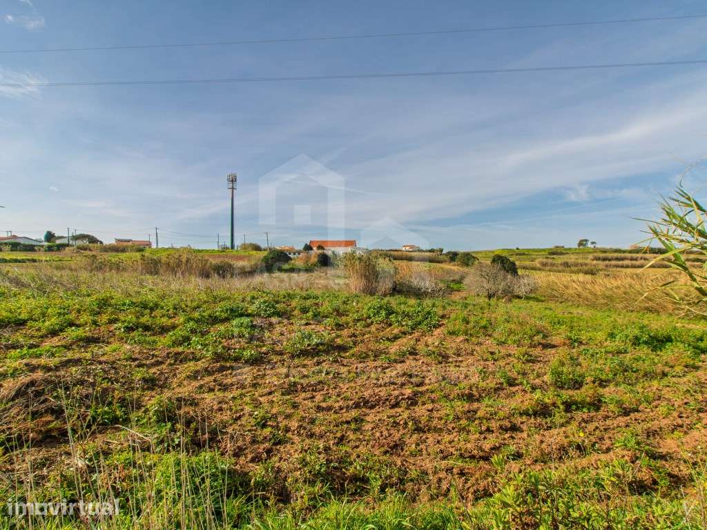 Vende Terreno - Ericeira 13 km, A Casa das Casas - Grande imagem: 2/13