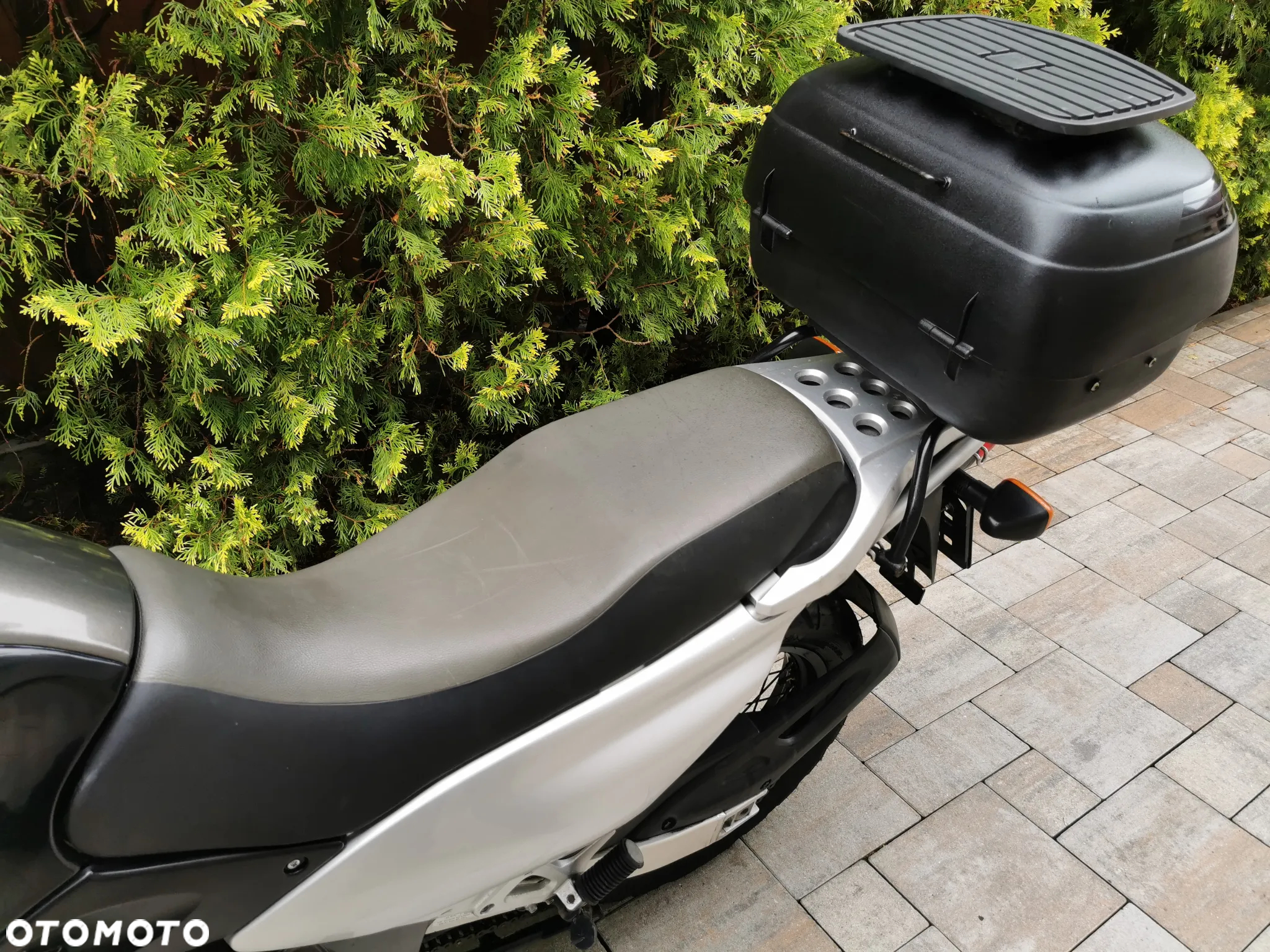 Suzuki XF - 13