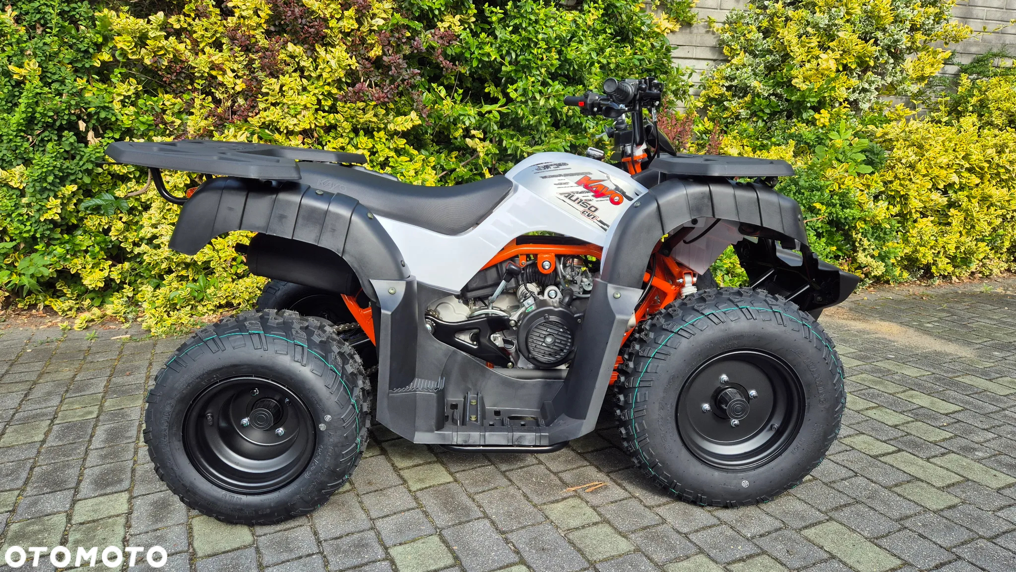 KAYO AU - 3