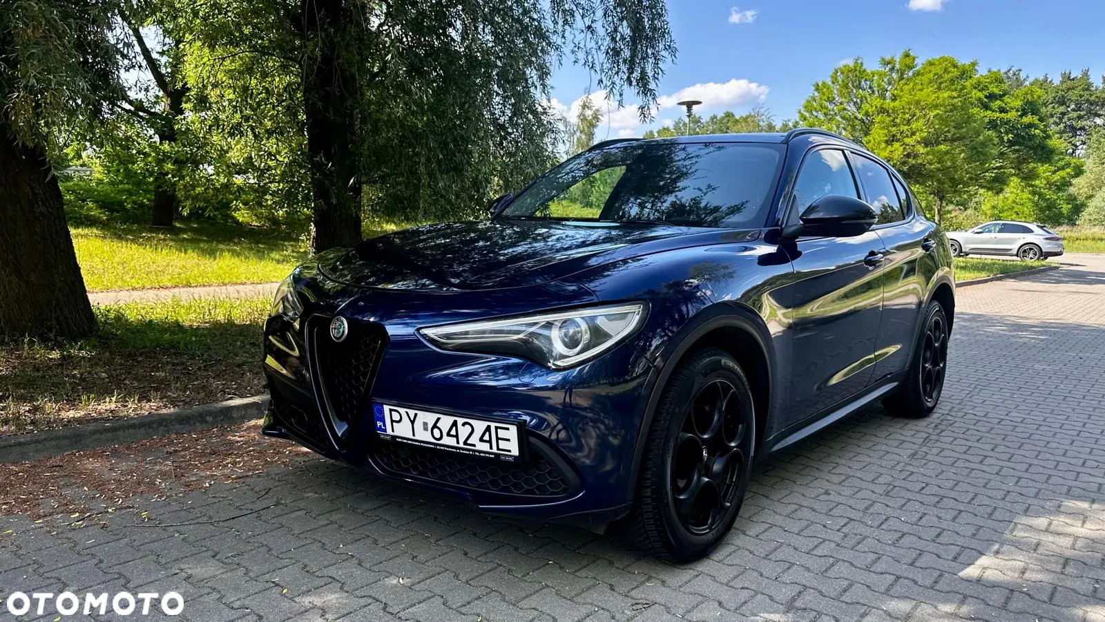 Alfa Romeo Stelvio 2.0 Turbo 16V AT8-Q4 Veloce - 9