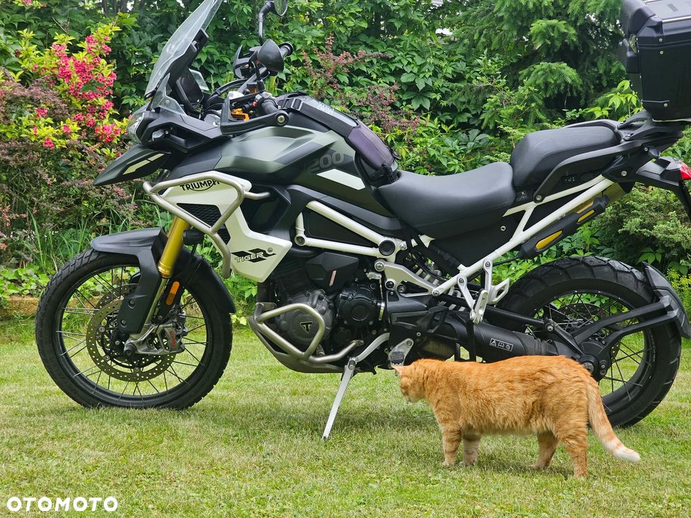 Triumph Tiger - 12