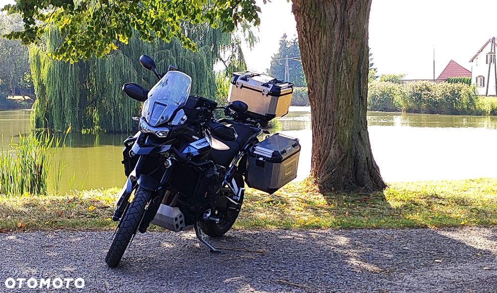 Triumph Tiger - 6