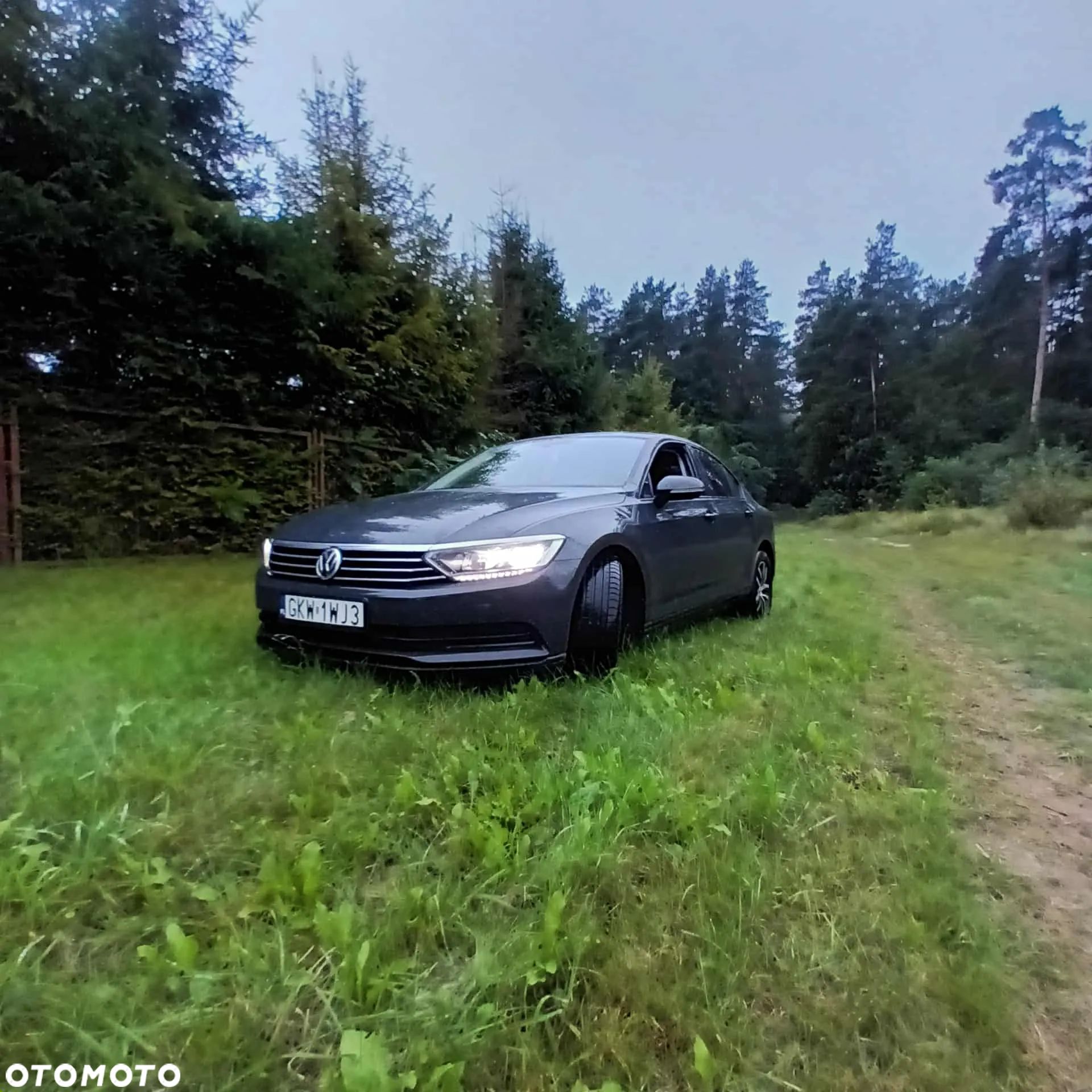 Volkswagen Passat - 1