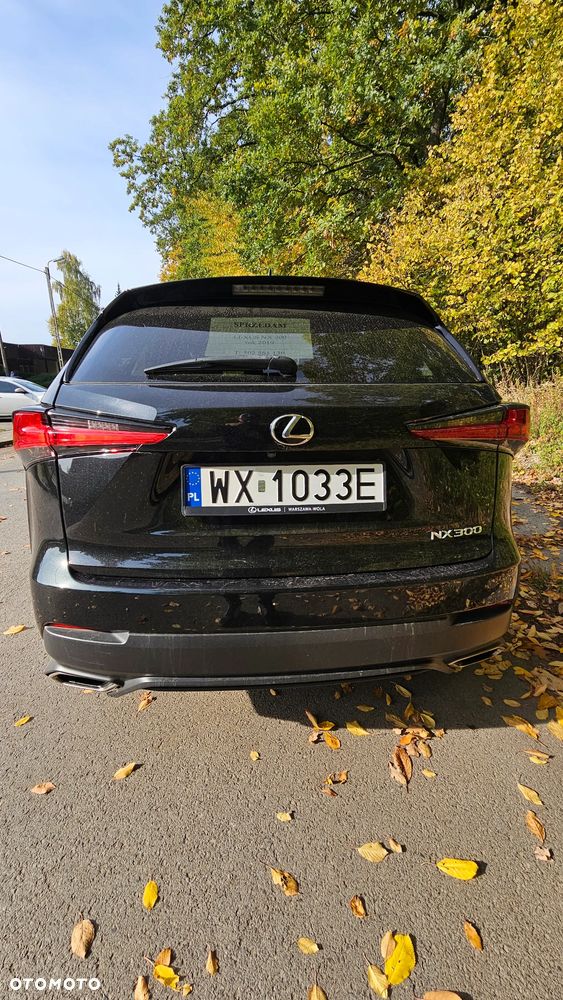Lexus NX 300 Elegance Optimum AWD - 10
