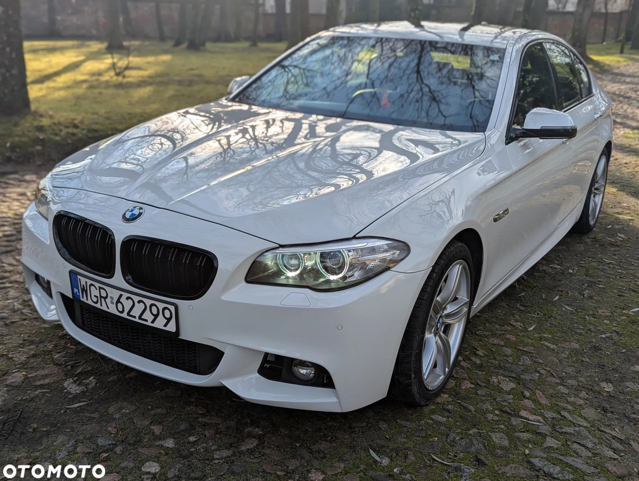 BMW Seria 5 - 11