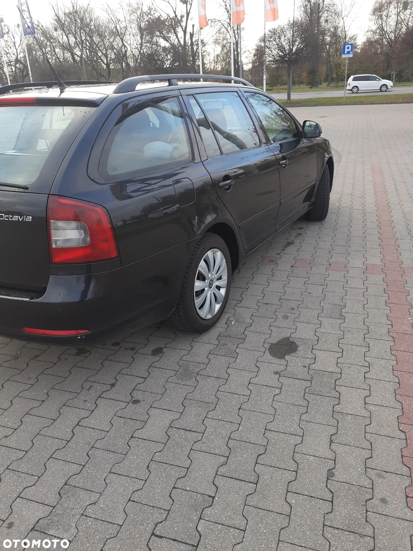 Skoda Octavia 1.9 TDI Ambiente - 3