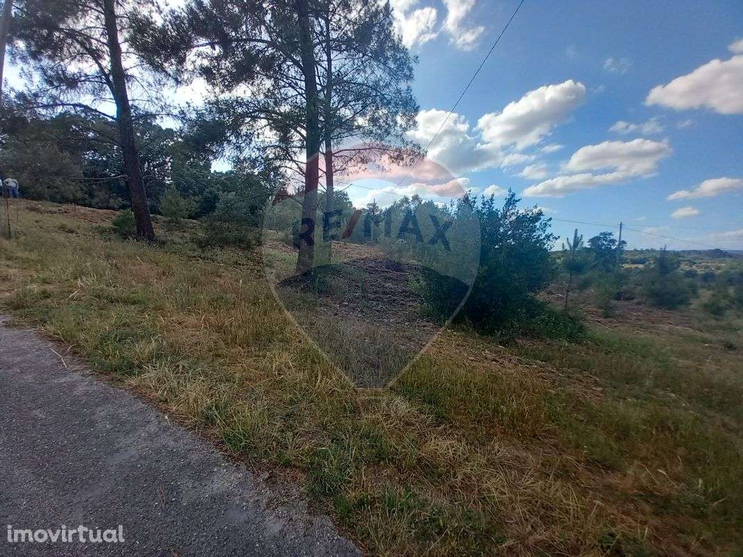 Terreno  para venda - Grande imagem: 5/6