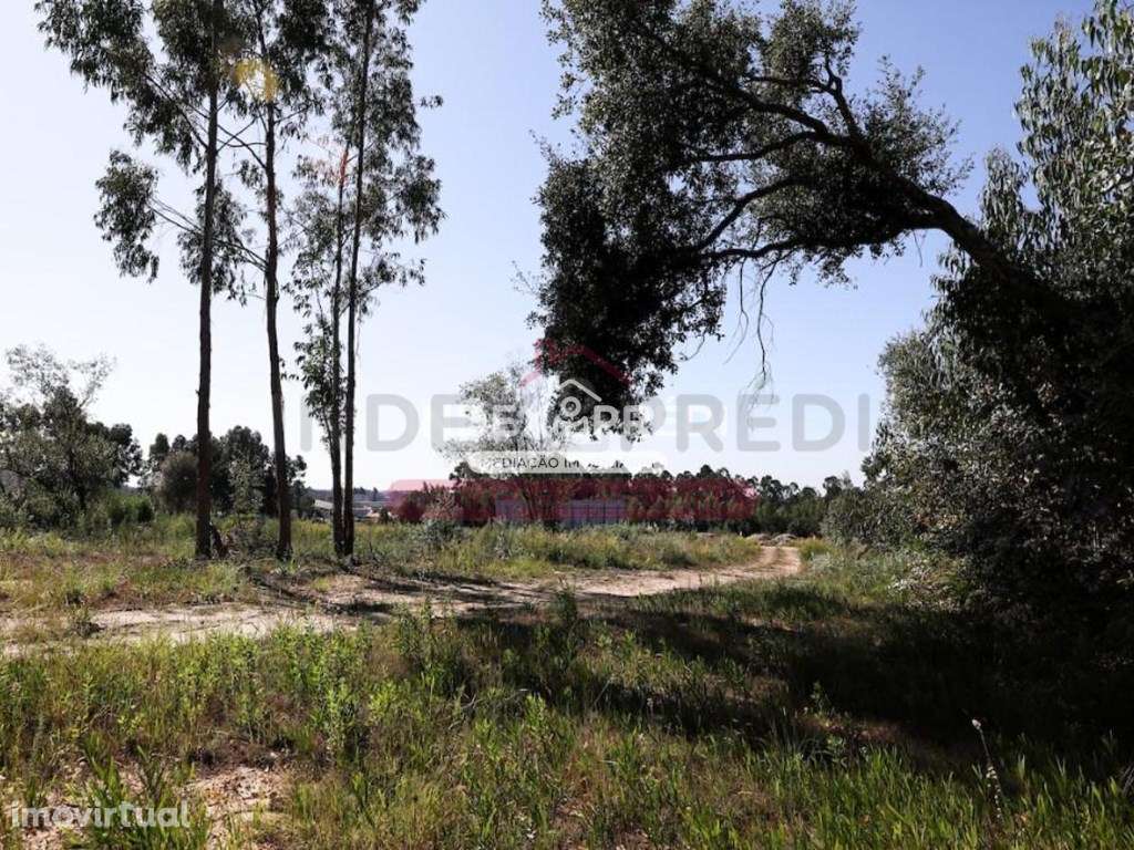 Conjunto de 2 terrenos em Rio Meão, com capacidade de edificação - Grande imagem: 4/6
