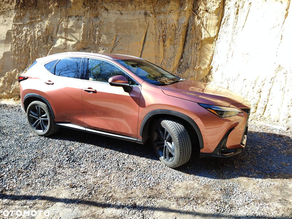 Lexus NX - 5