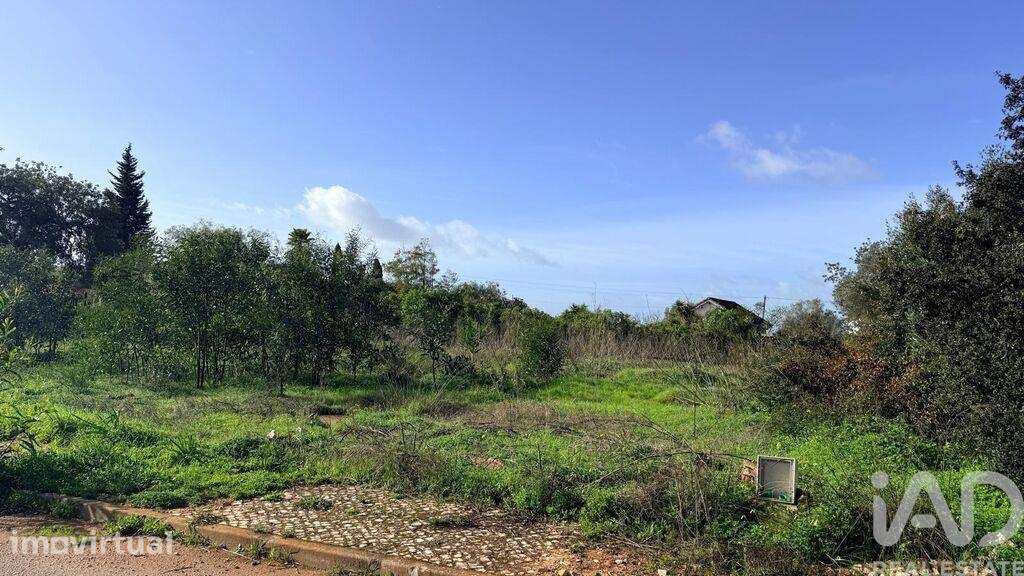 Terreno para construção em Alcantarilha e Pêra - Grande imagem: 3/21