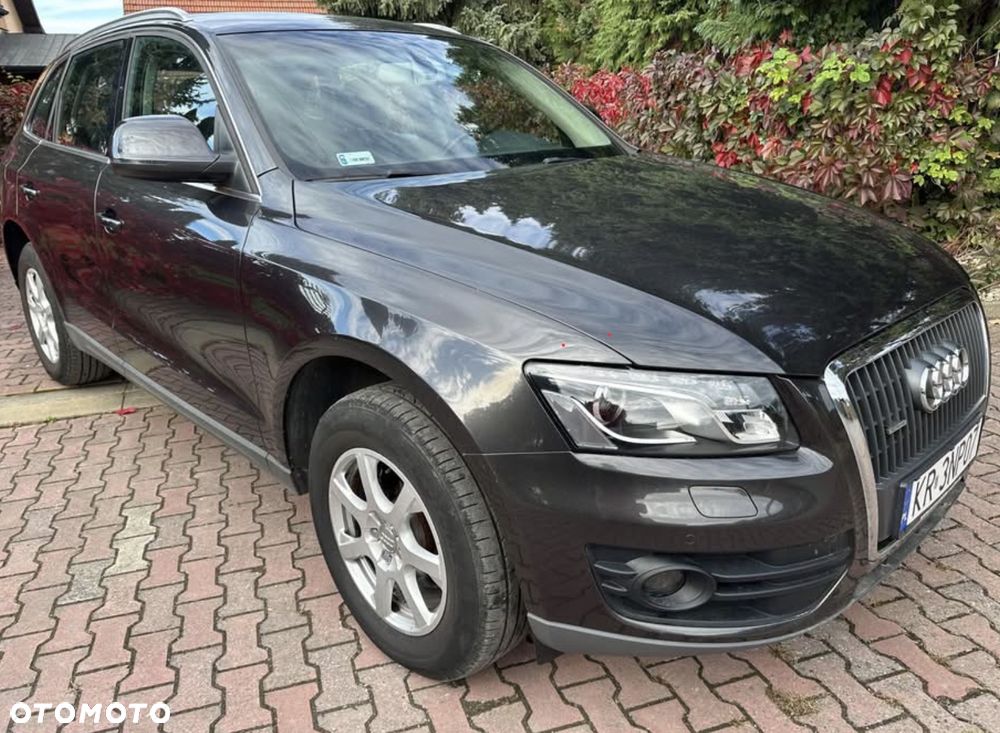 Audi Q5 2010 photo 5