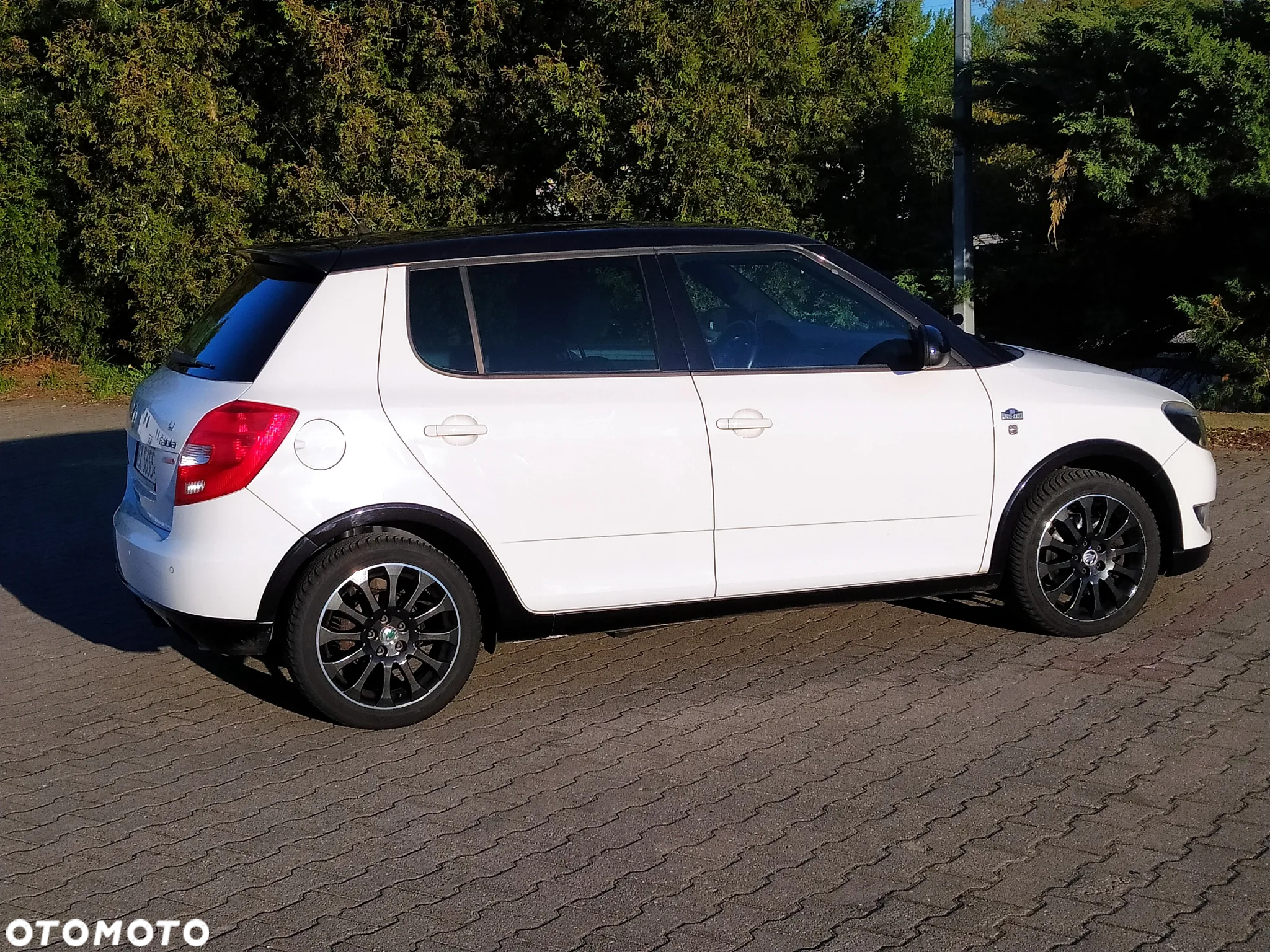 Volkswagen Golf 2.0 TDI DPF Style - 10
