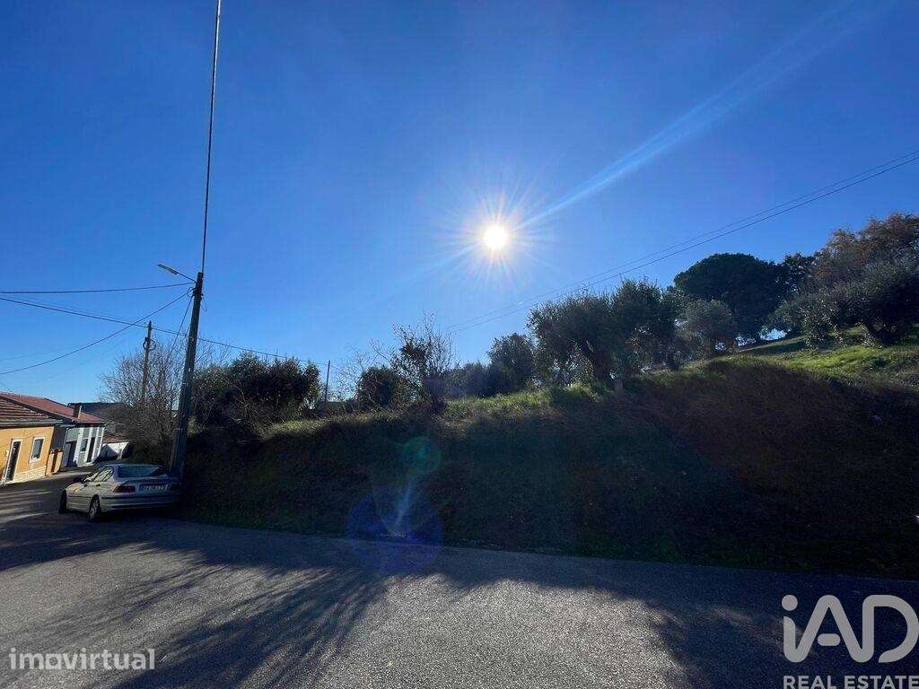Terreno em Além da Ribeira e Pedreira - Grande imagem: 4/7