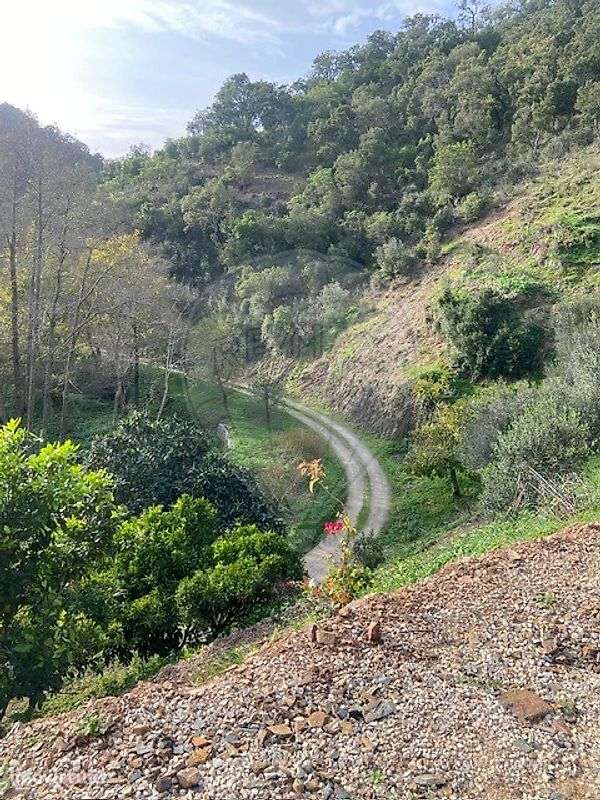 Terreno  para venda - Grande imagem: 4/13