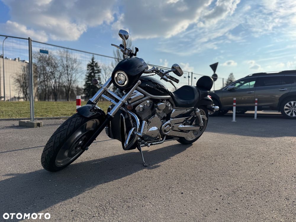 Harley-Davidson Softail V-Rod - 1