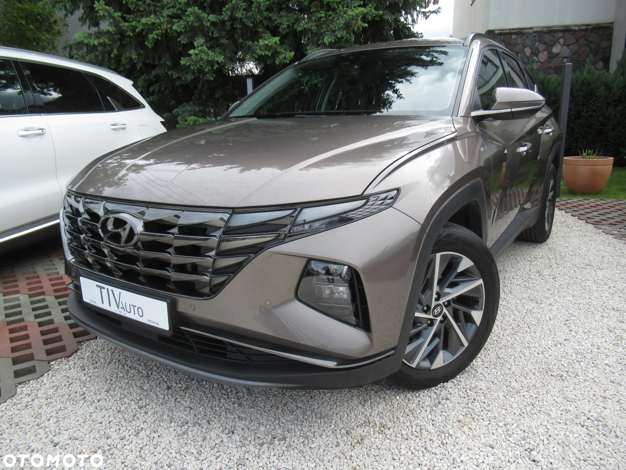 Hyundai Tucson 1.6 T-GDi 48V Executive 4WD DCT - 2